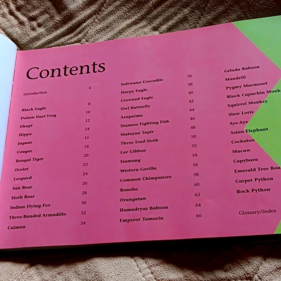 Amazing jungle animals book - Picture 2 of 7